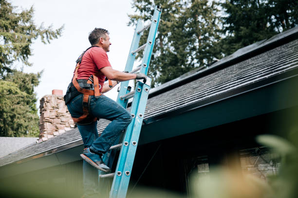 Best Roof Maintenance and Cleaning  in East Quogue, NY